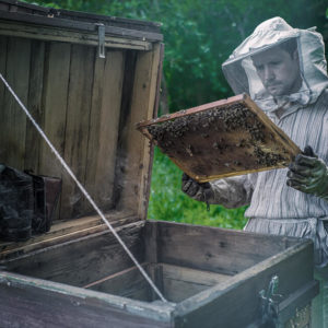 Diploma in Bee Farming