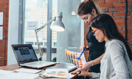 Complete WordPress Web Design Diploma