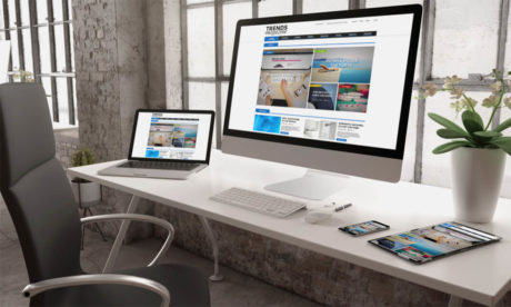 Web Design and WordPress Training Bundle