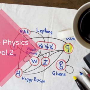 Particle Physics Level 2
