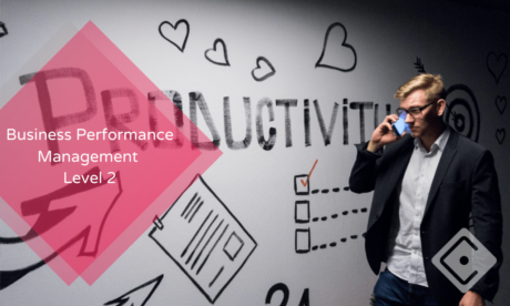Business Performance Management Level 2