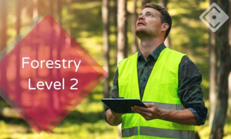 Forestry Level 2