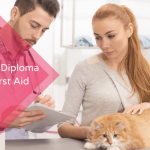 Advanced Diploma in Pet First Aid