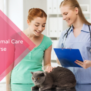 Level 3 Animal Care Course