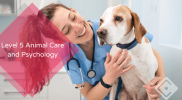 Level 5 Animal Care and Psychology