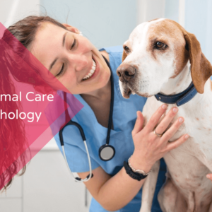Level 5 Animal Care and Psychology