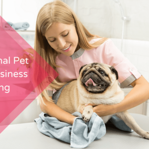 Professional Pet Sitting Business Training