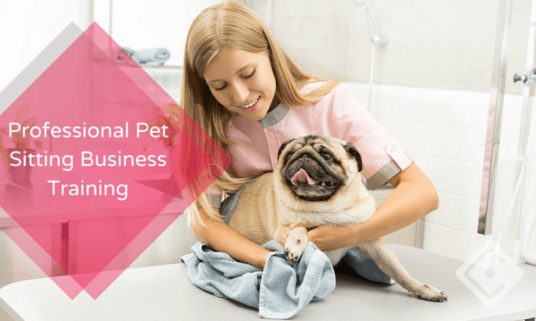 Professional Pet Sitting Business Training
