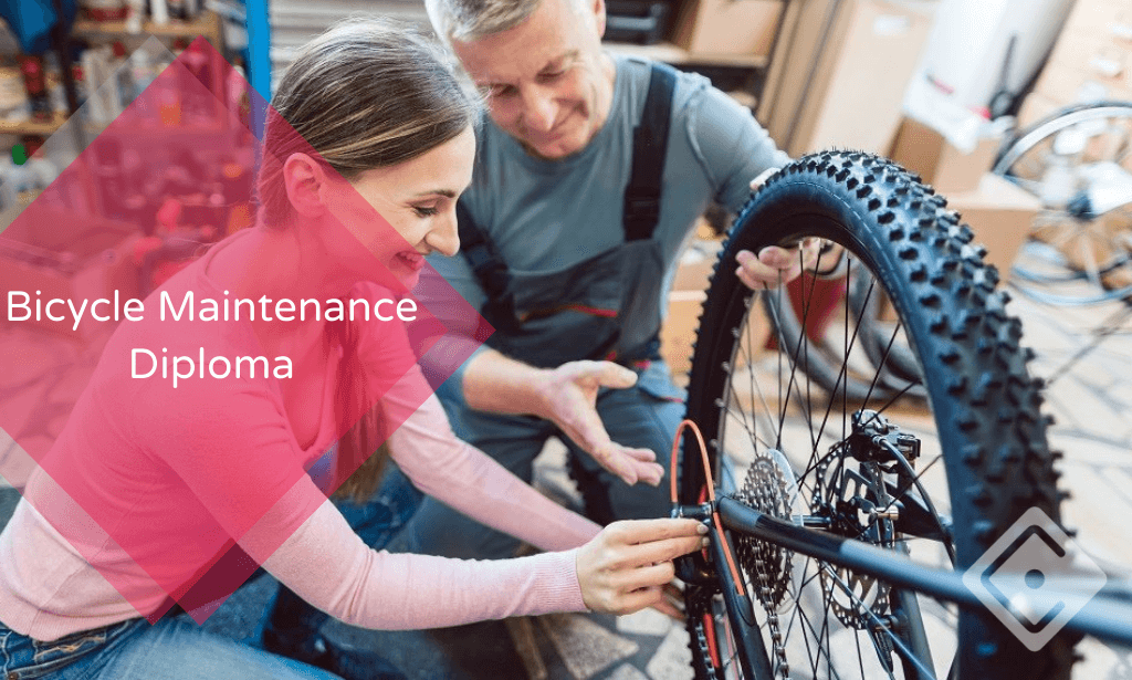 Bicycle Maintenance Diploma