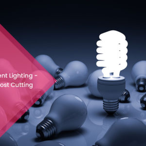 Energy Efficient Lighting - Household Cost Cutting