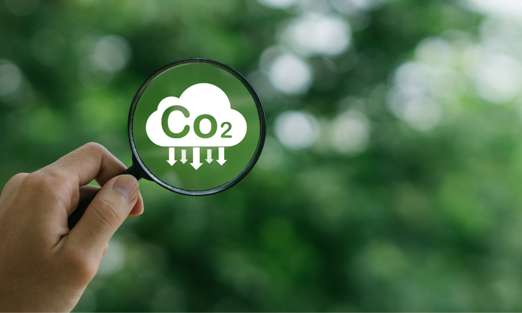 Carbon Literacy Knowledge