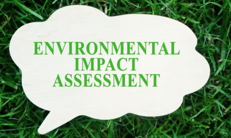 Environmental Impact Assessment