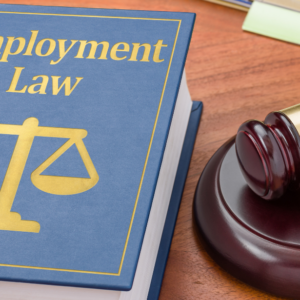 UK Employment Law Level 5 - QLS Endorsed