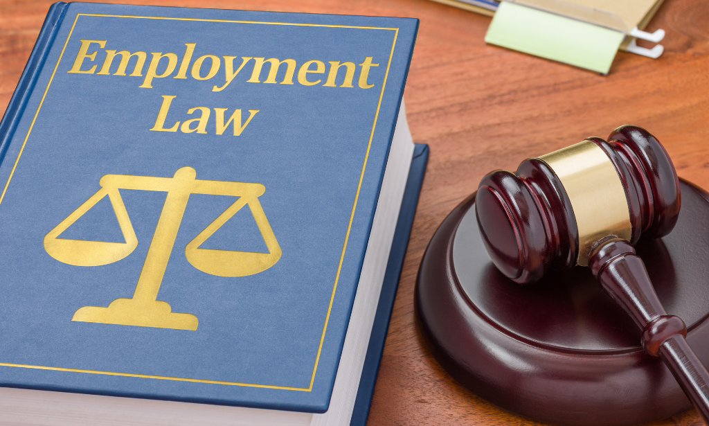 UK Employment Law Level 5 - QLS Endorsed