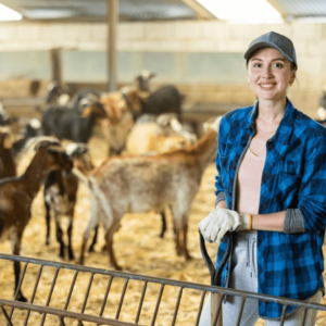 Goats Farming Course
