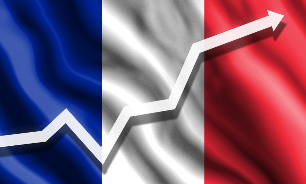 The French Elections and Fundamental Analysis in Finance