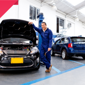 Light Vehicle Maintenance and Repair Technician Bundle