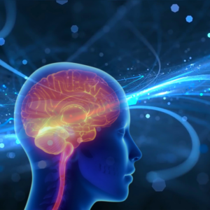 Neuroscience for Personal Branding