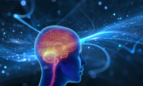 Neuroscience for Personal Branding